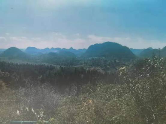 1623382188685617.jpg 57d9644d47831bc8998a470b4b44434