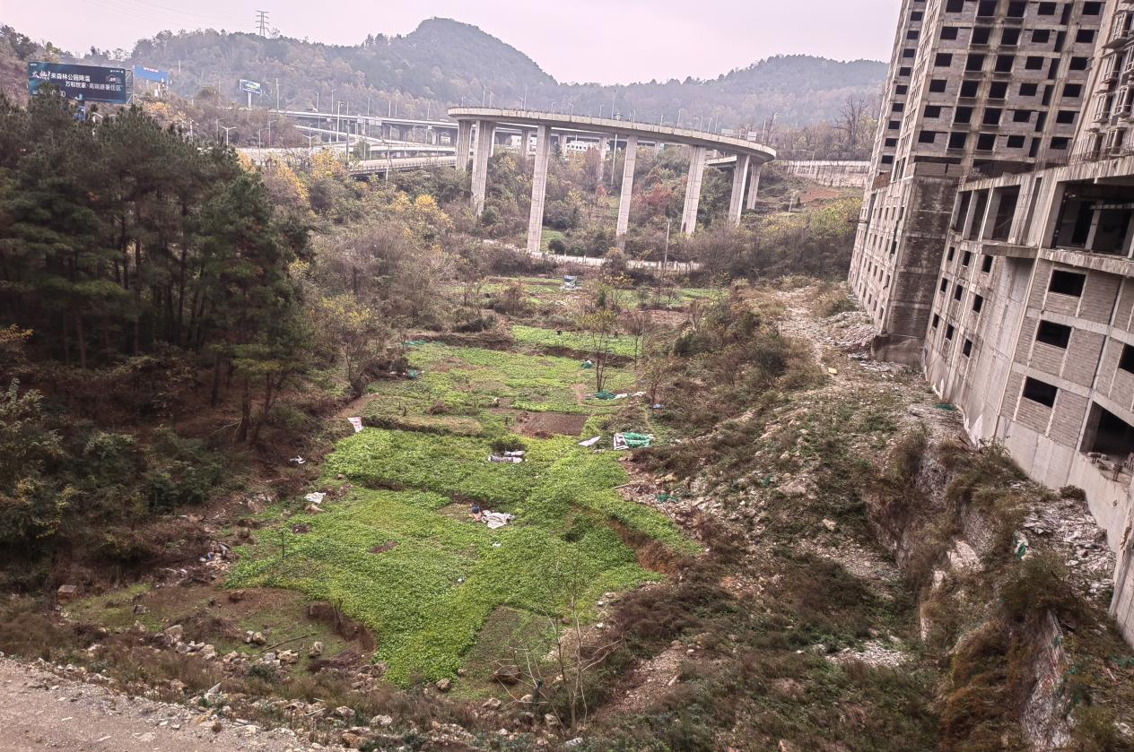 1693812623617432.png 圖片4.png