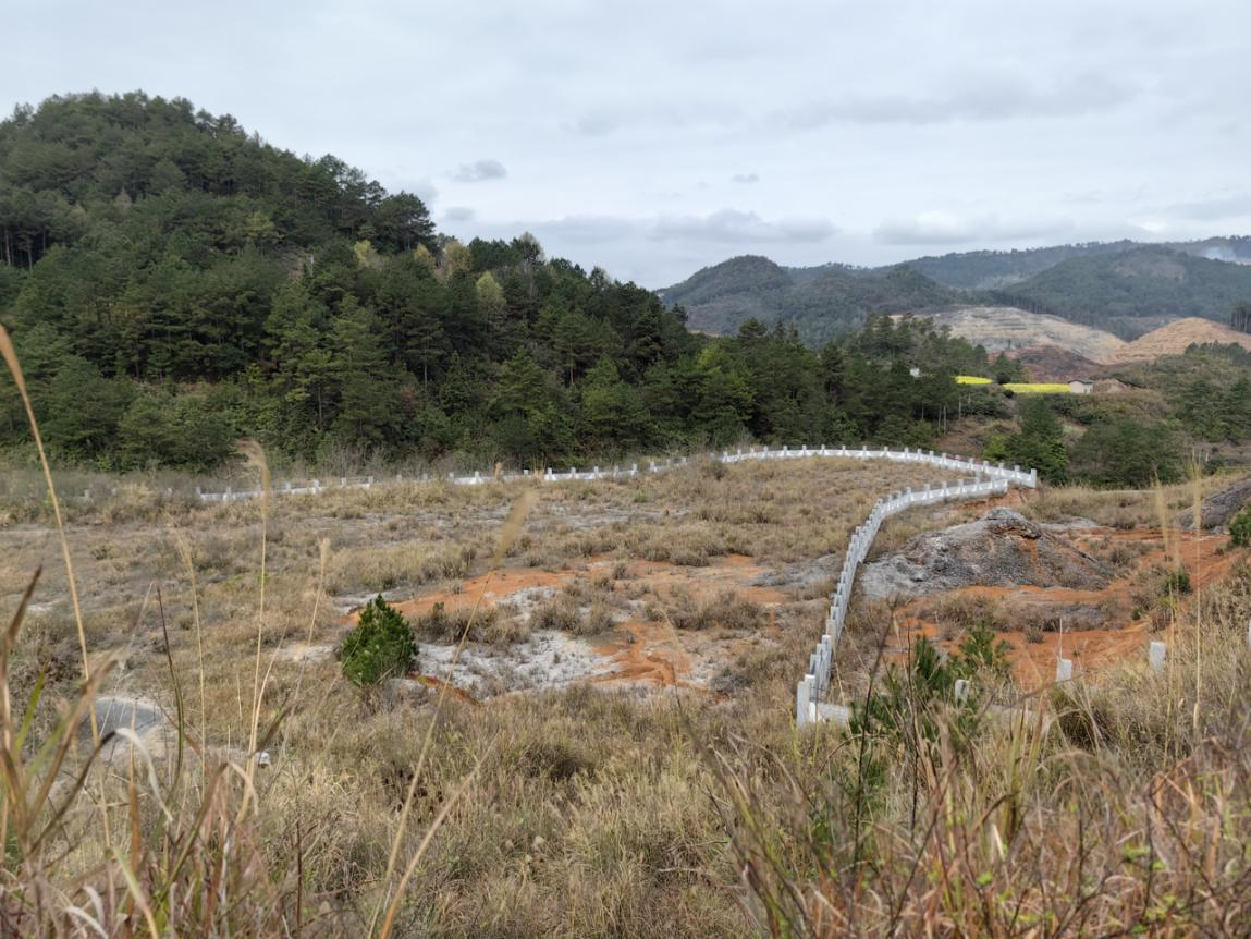 1693823638616377.png 圖片1.png