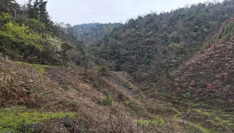 1698198199139399.png image.png