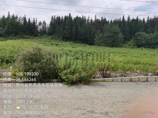 1698719452832018.png image.png