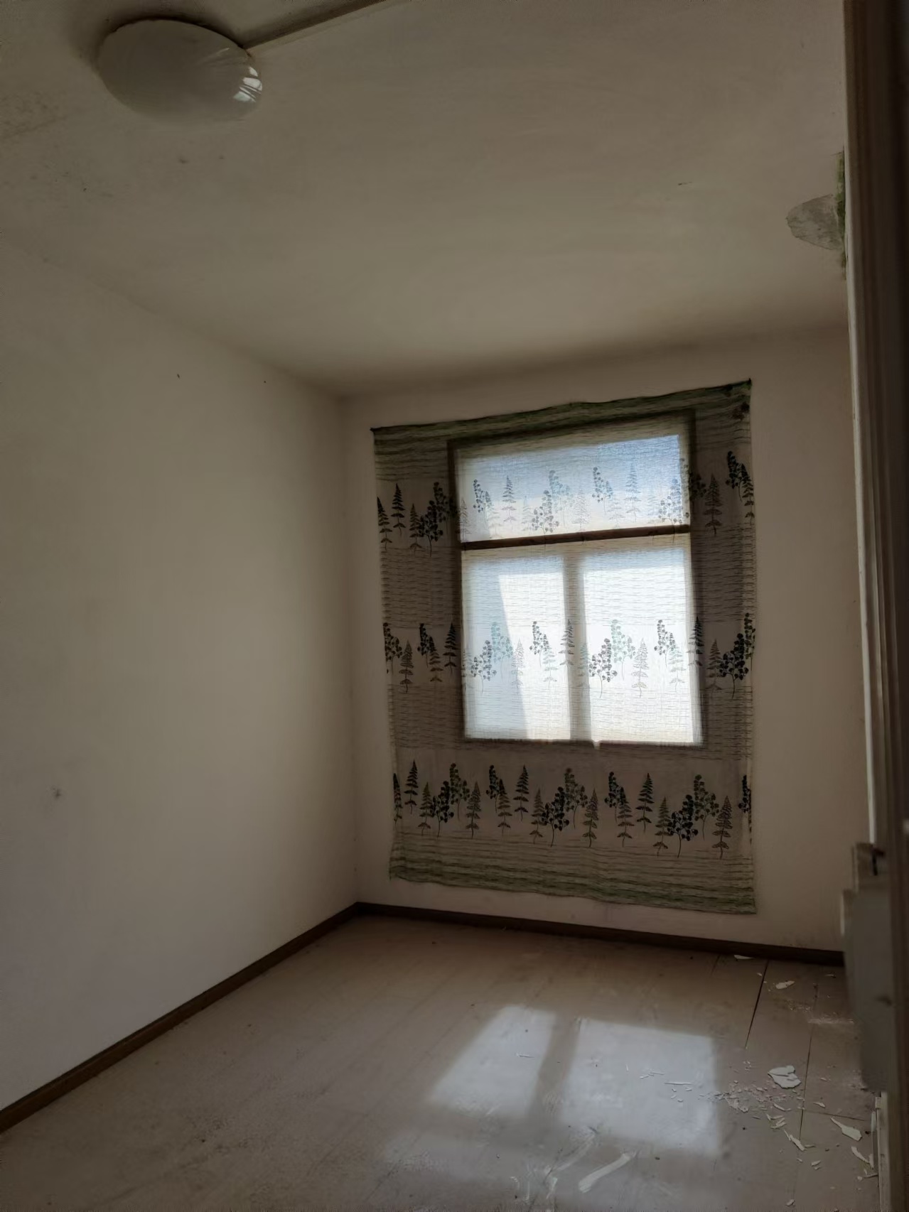 1743488082872287.jpg 圖片關鍵詞