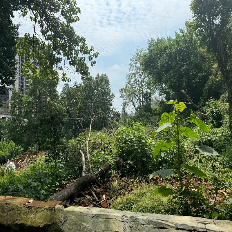 1743492802173607.jpg 圖片關(guān)鍵詞