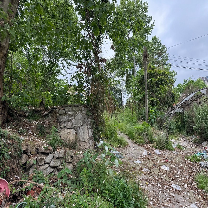 1743492802319356.jpg 圖片關(guān)鍵詞