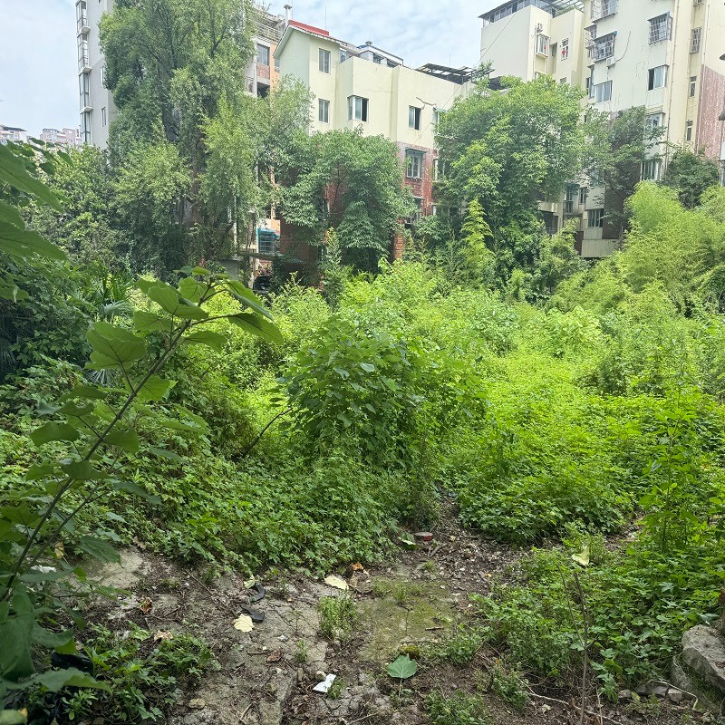 1743492807857349.jpg 圖片關(guān)鍵詞