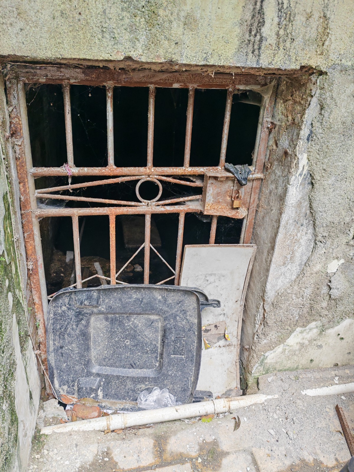 1748571740642712.jpg 圖片關鍵詞