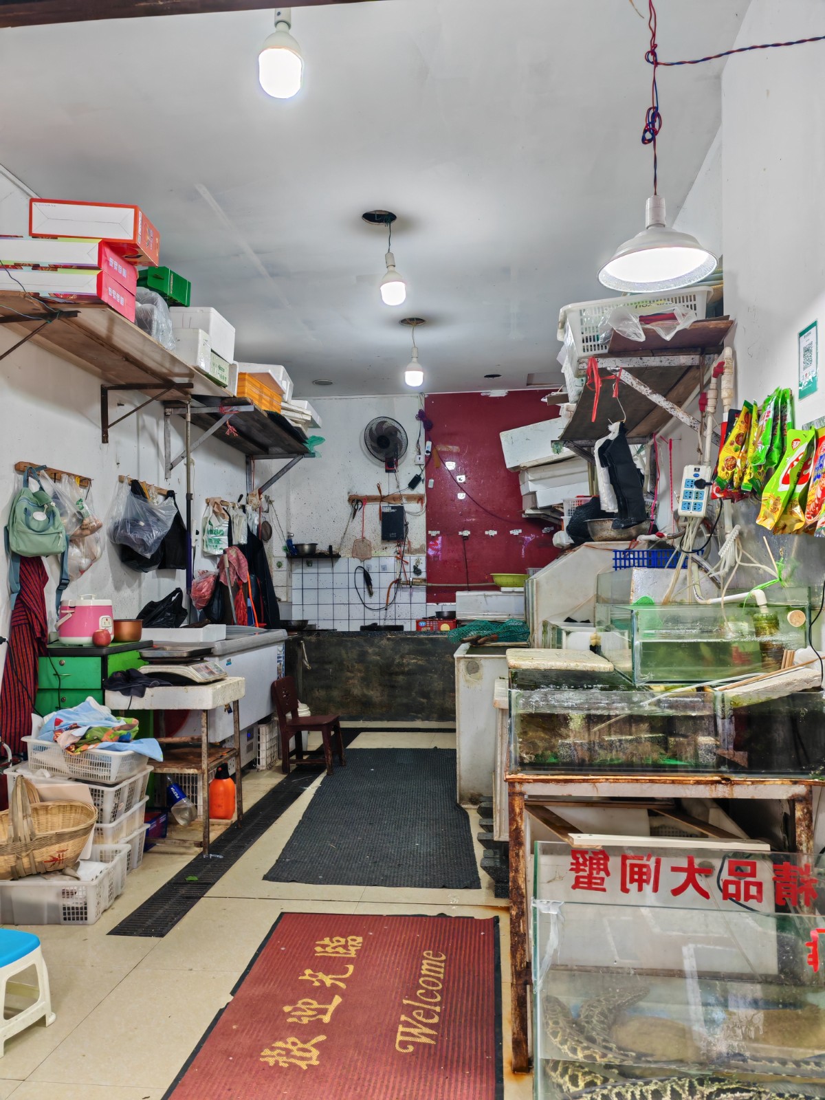 圖片關(guān)鍵詞