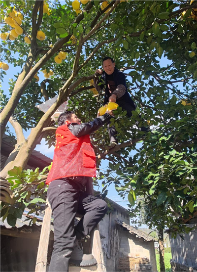 1750124350922817.png 圖片9.png