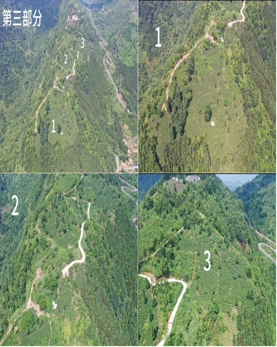 1753780780216438.png image.png