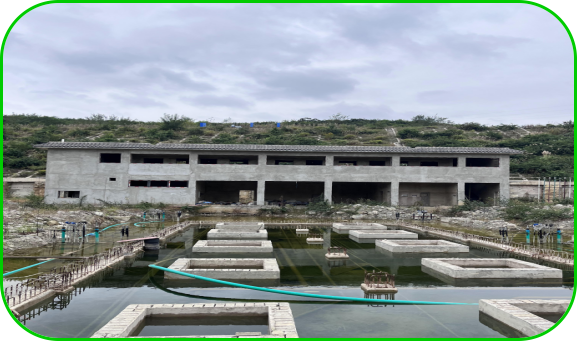 1756091708470800.png image.png