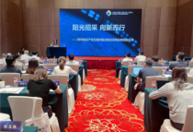 貴州陽光產(chǎn)權(quán)交易所在“新質(zhì)生產(chǎn)力要素交易創(chuàng)新發(fā)展系列活動(dòng)暨陽光采購培訓(xùn)班”作國(guó)企陽光采購業(yè)務(wù)分享