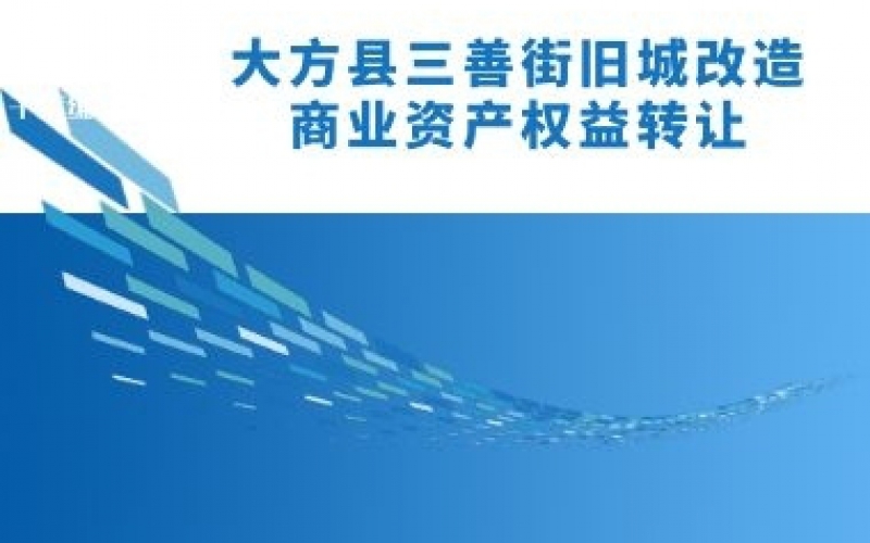 大方縣三善街舊城改造商業(yè)資產(chǎn)權益轉(zhuǎn)讓