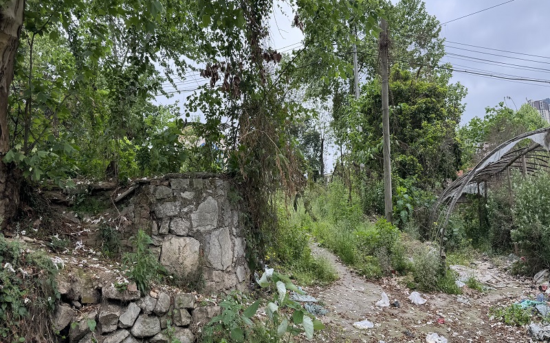 貴州省機(jī)關(guān)事務(wù)管理局國(guó)有資產(chǎn)管理服務(wù)中心遵義市紅花崗區(qū)桃溪路51號(hào)2處資產(chǎn)招租